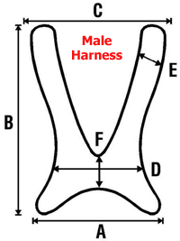 Male Harness Specifications